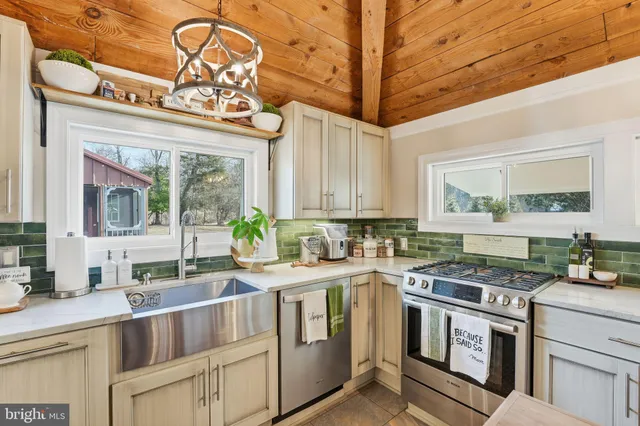 a bathroom with a granite countertop sink a large mirror and a potted plant