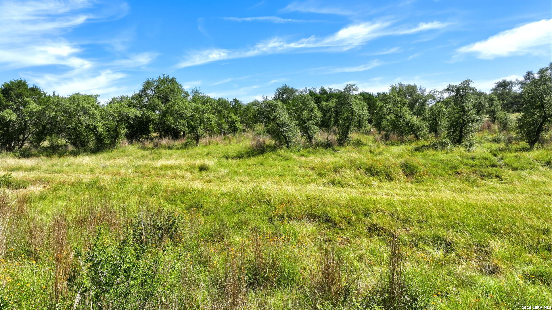 658 Windmill Ridge Drive Blanco, TX 78606 - Photo 25 of 34
