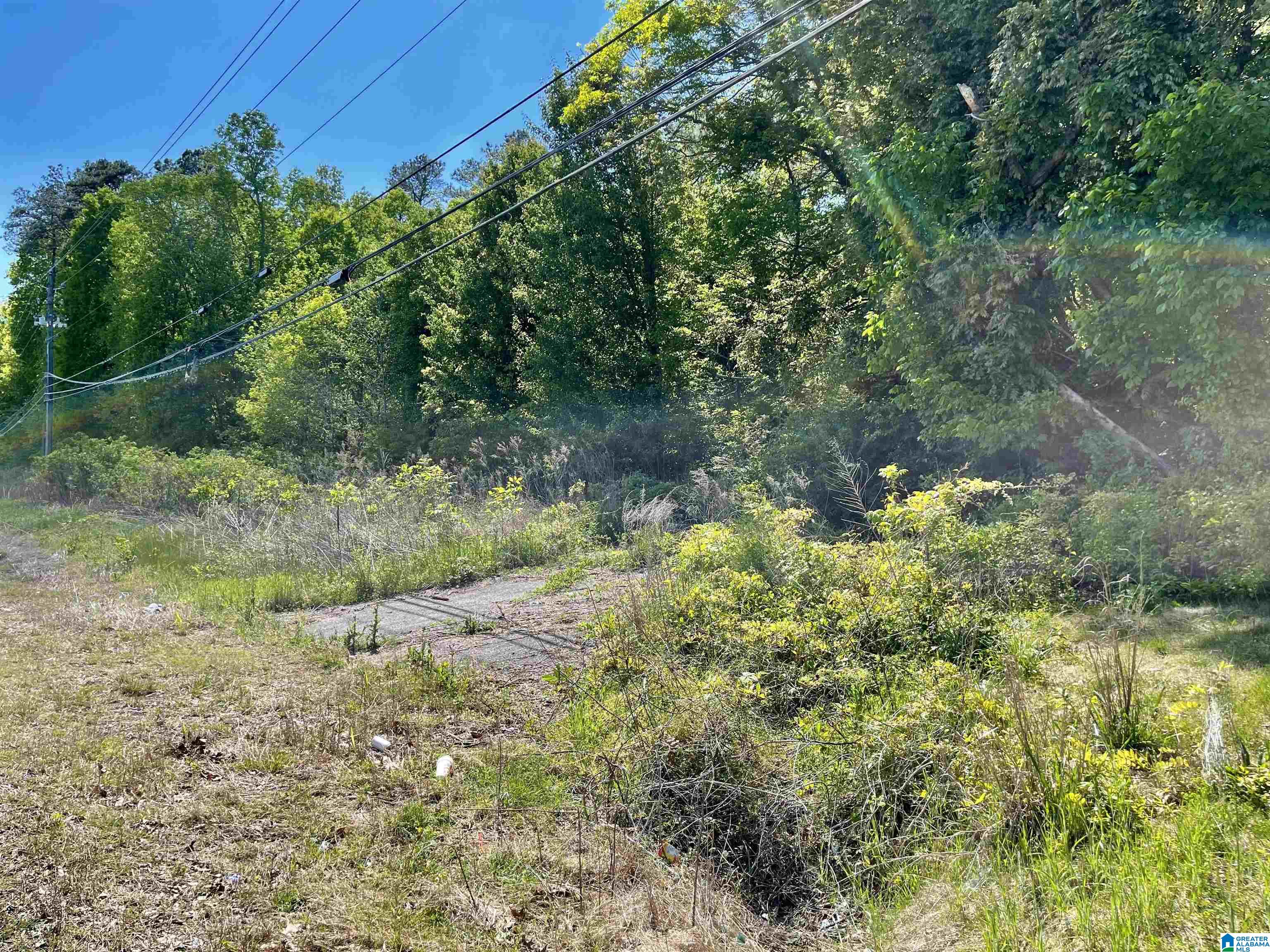 7228 Old Springville Road Pinson, AL 35126 - Photo 2 of 16 Gallery Image 2