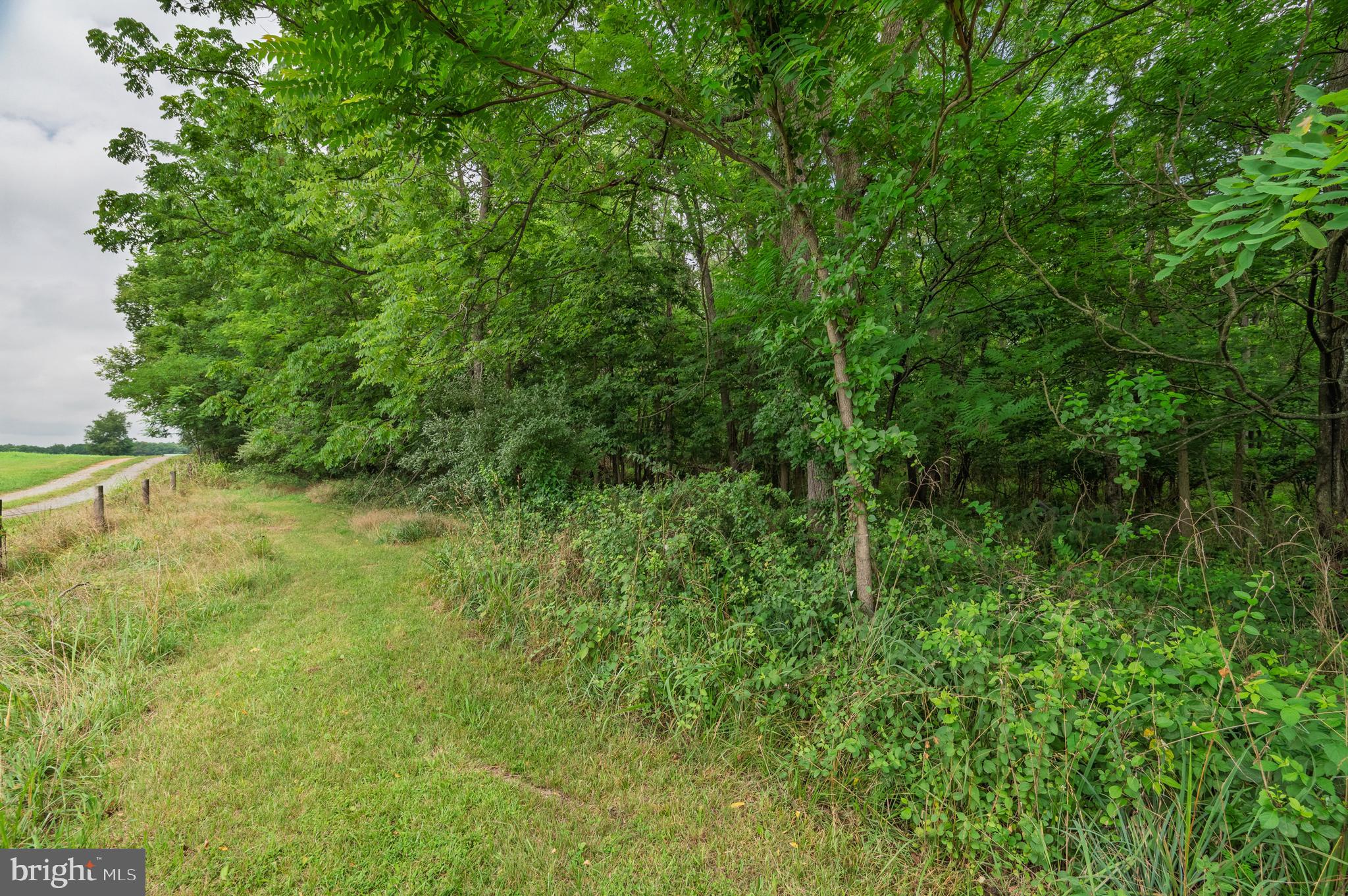 1918 Senseny Road Berryville, VA 22611 - Photo 116 of 145 Gallery Image 116