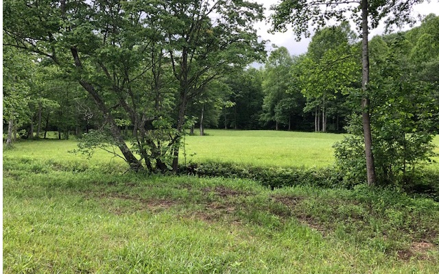 7 Ferguson Town Road Hiawassee, GA 30546 - Photo 1 of 1 Main View