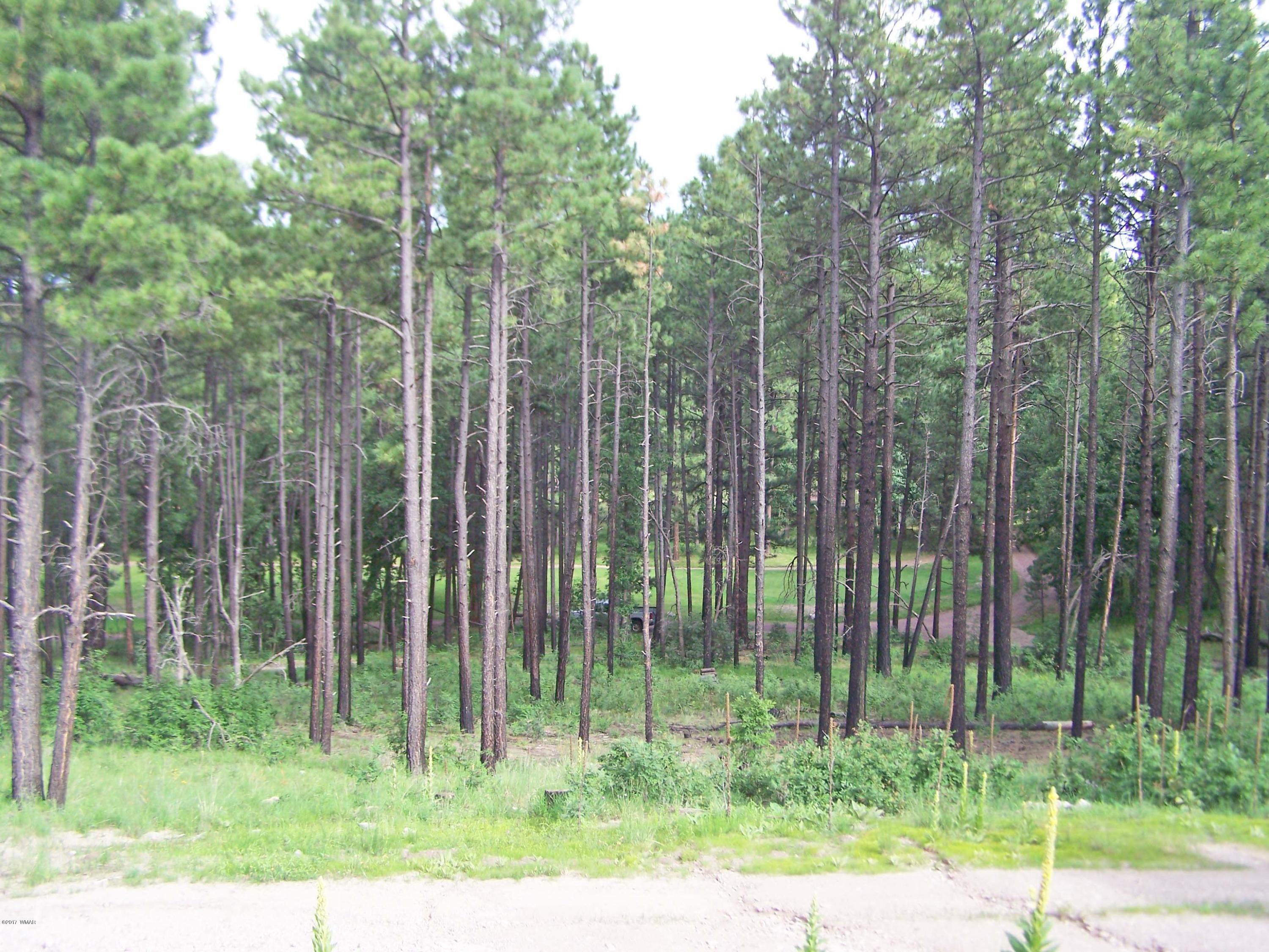 9 County Road Alpine, AZ 85920 - Photo 4 of 9