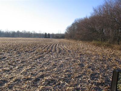 Lott Road Coldwater, MI 49036 - Photo 1 of 10 Primary Photo