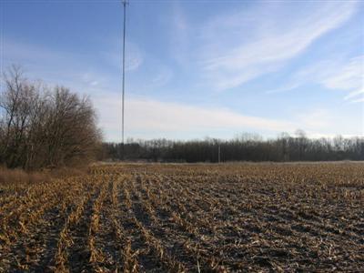 Lott Road Coldwater, MI 49036 - Photo 3 of 10 Additional Photo