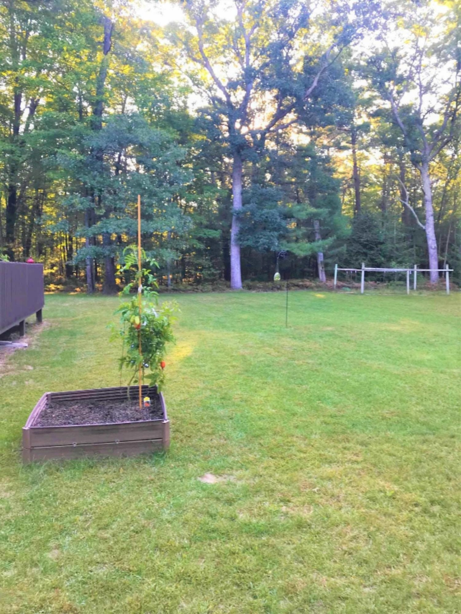 5131 West Bard Road Whitehall, MI 49461 - Photo 3 of 30 4