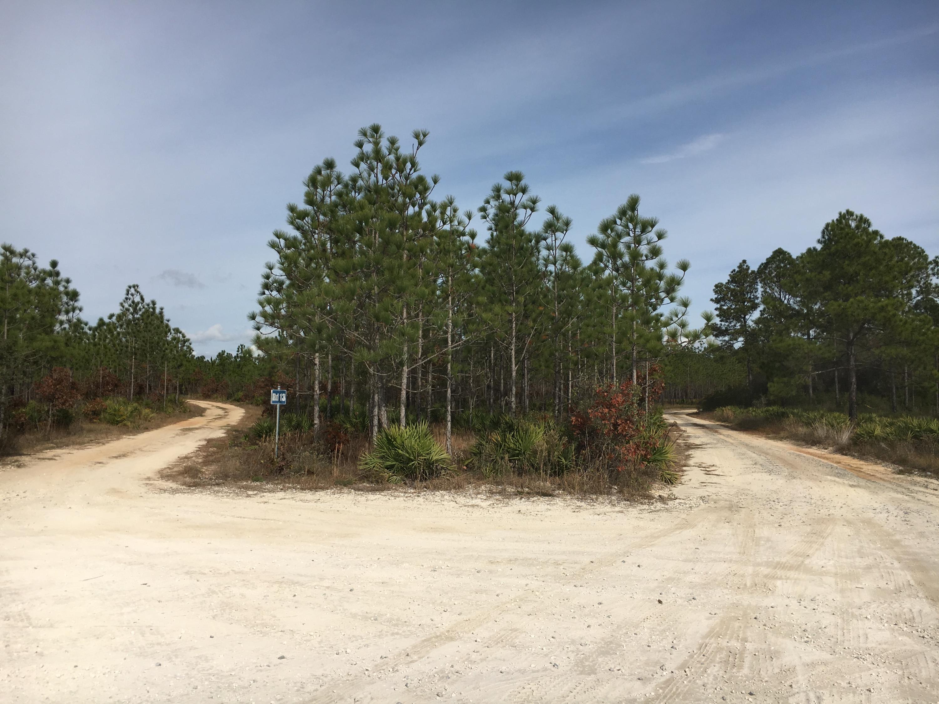 160 Montclair Avenue Santa Rosa Beach, FL 32459 - Photo 23 of 35 Gallery Image 23