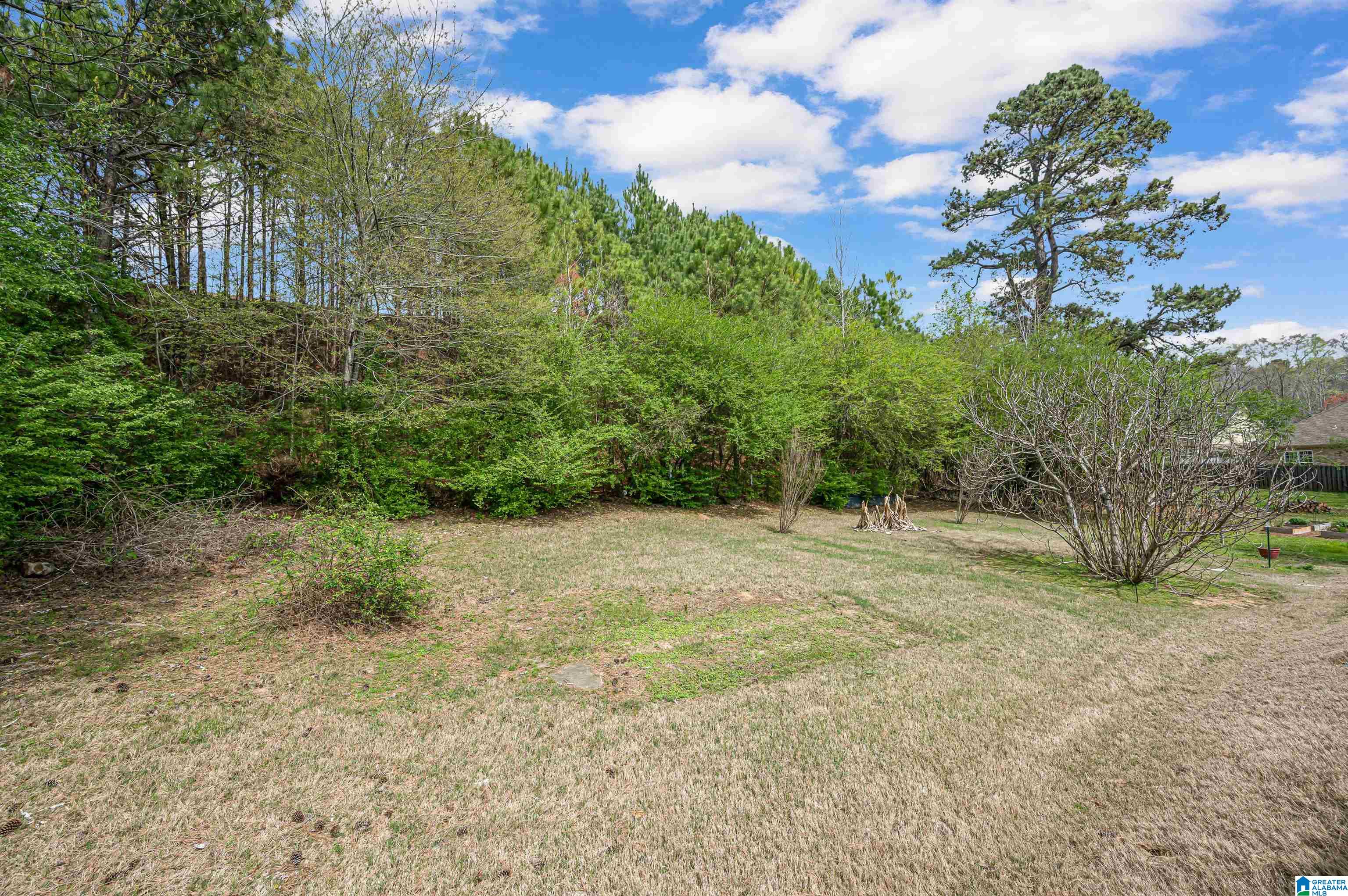 508 Chesser Circle Chelsea, AL 35043 - Photo 44 of 46