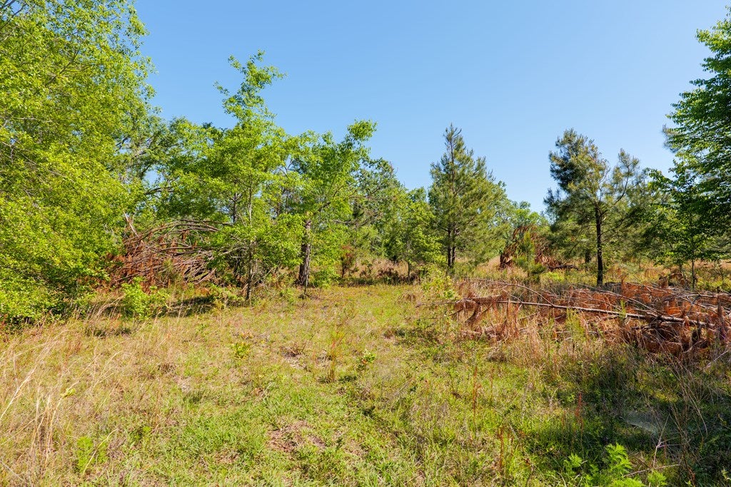 5881 Old State Road Naylor, GA 31641 - Photo 46 of 52 Gallery Image 46