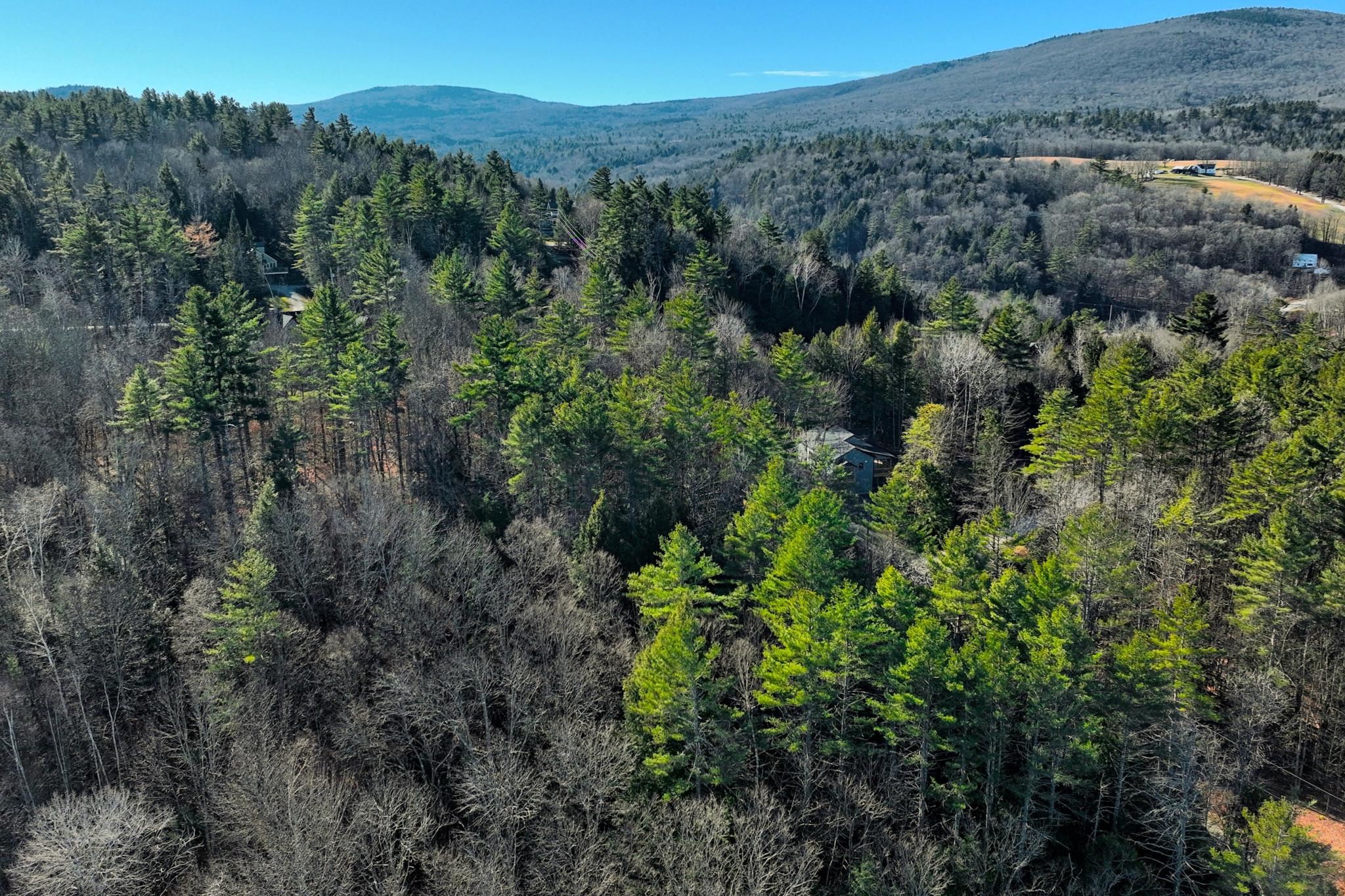 0 Partridge Road, Unit 52 Ludlow, VT 05149 - Photo 11 of 17