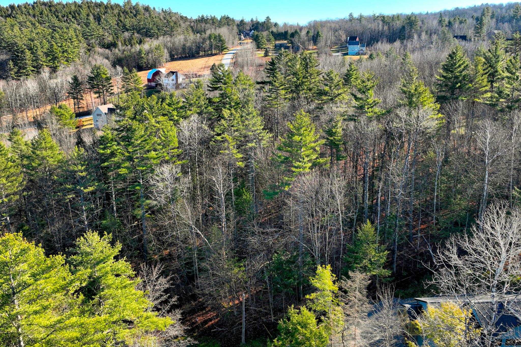 0 Partridge Road, Unit 52 Ludlow, VT 05149 - Photo 12 of 17