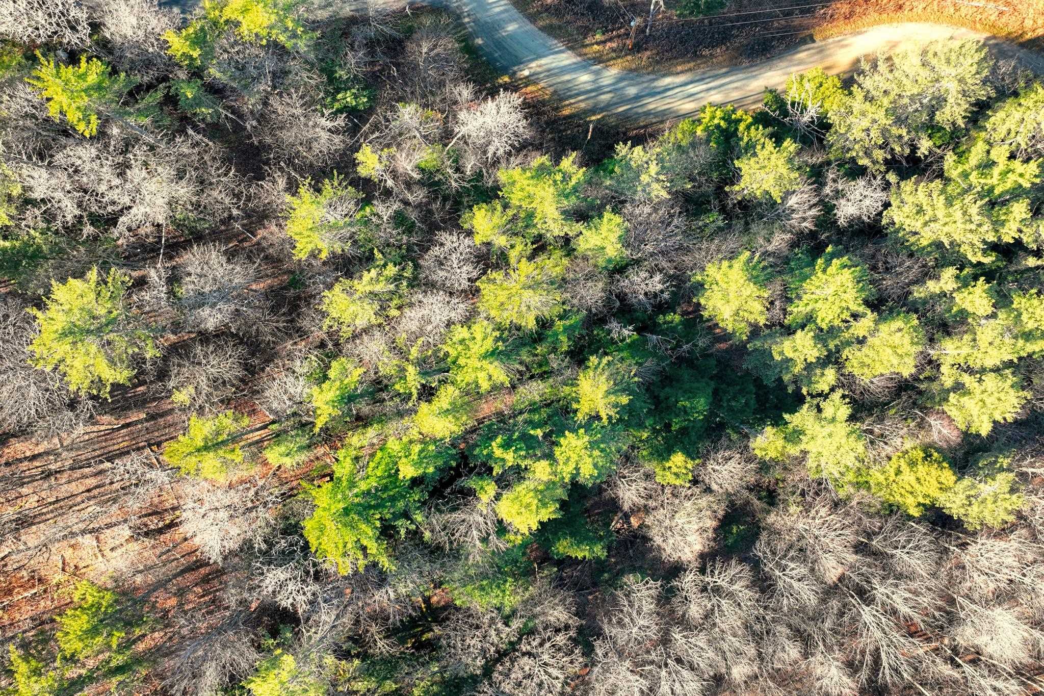 0 Partridge Road, Unit 52 Ludlow, VT 05149 - Photo 17 of 17