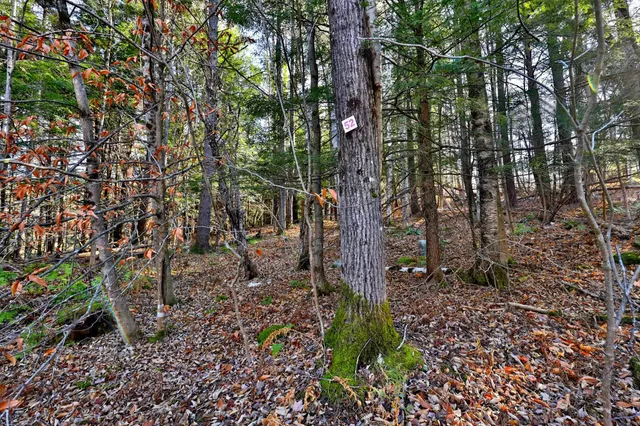 $150,000 | 0 Partridge Road, Unit 52, Ludlow, VT 05149