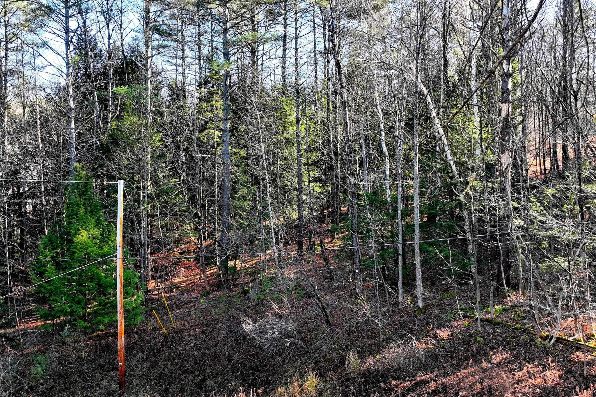 0 Partridge Road, Unit 52 Ludlow, VT 05149 - Photo 5 of 17