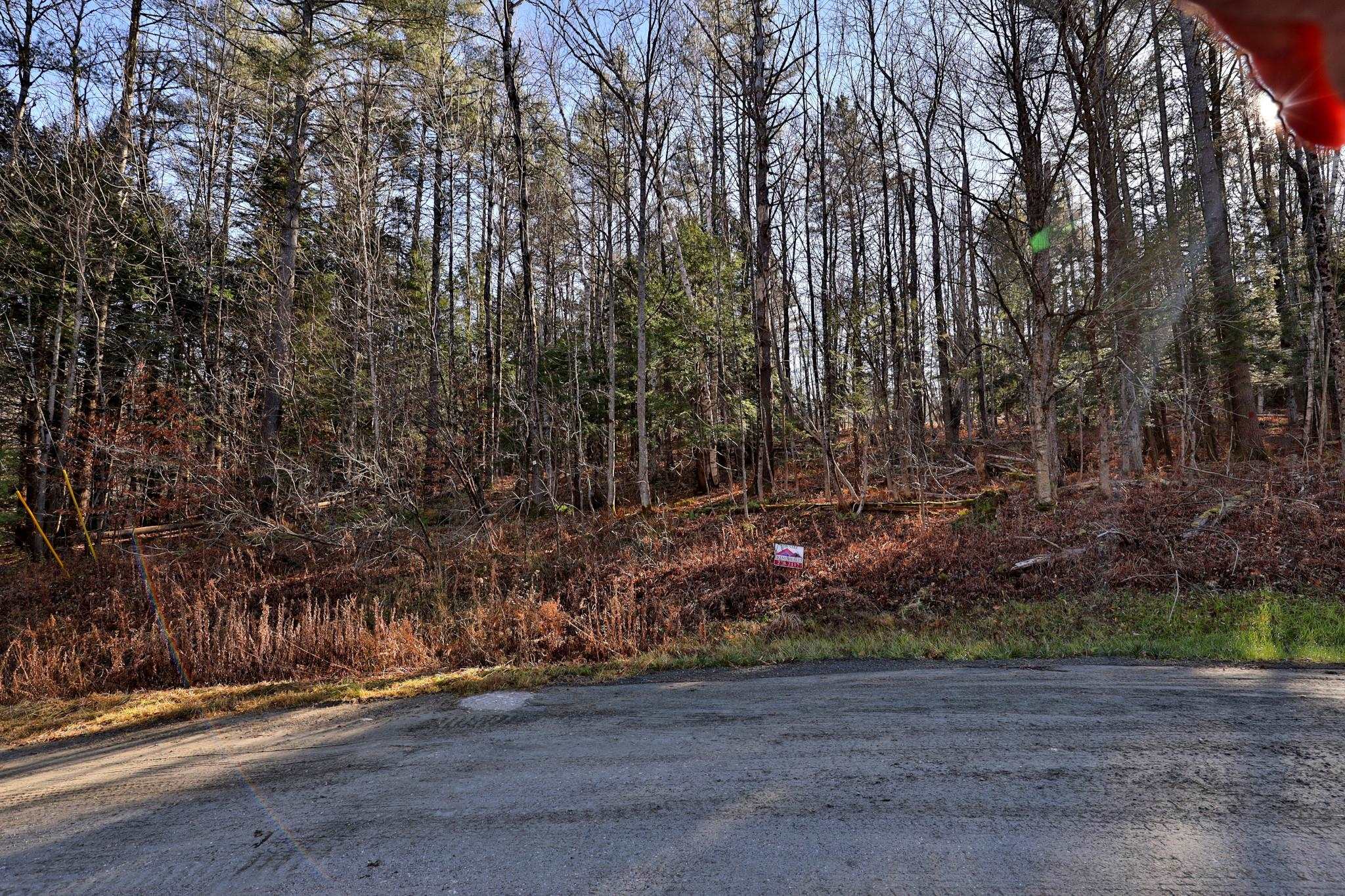 0 Partridge Road, Unit 52 Ludlow, VT 05149 - Photo 6 of 17