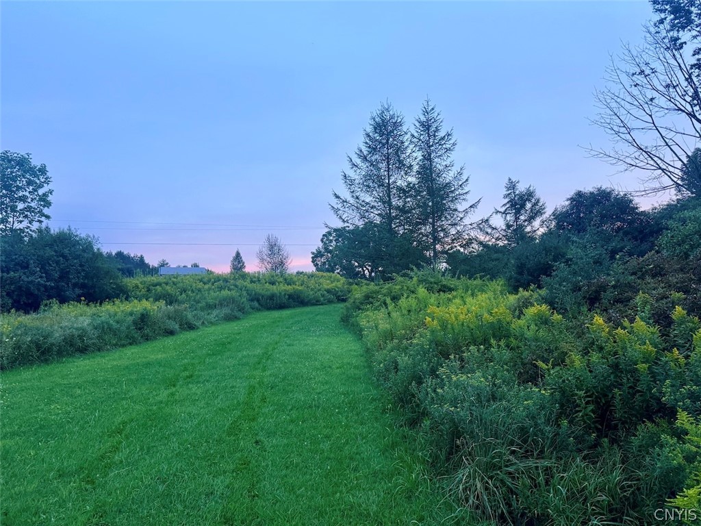 Common Road Angelica, NY 14709 - Photo 22 of 26 Gallery Image 22