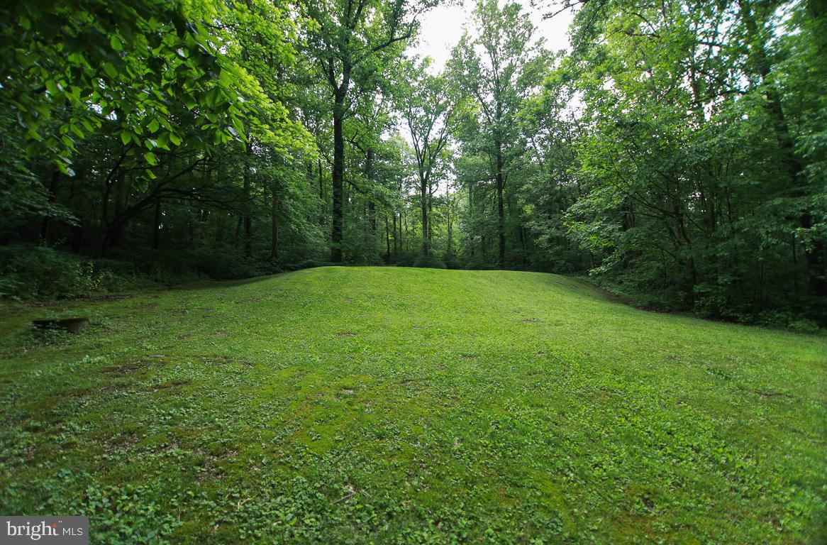 2281 South Forge Road Palmyra, PA 17078 - Photo 19 of 21 Gallery Image 19