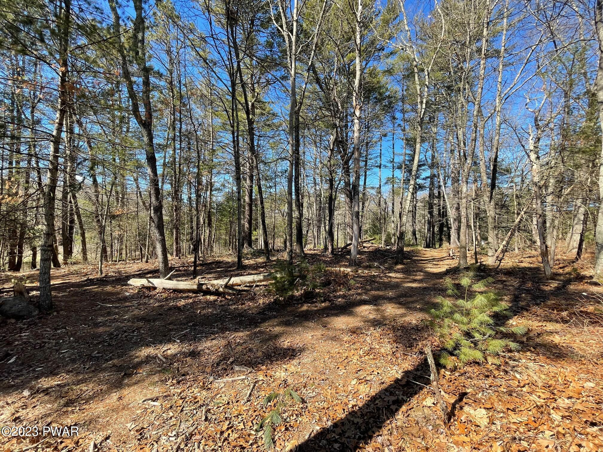 Lot 19 Mt Springs Road Milford, PA 18337 - Photo 10 of 11