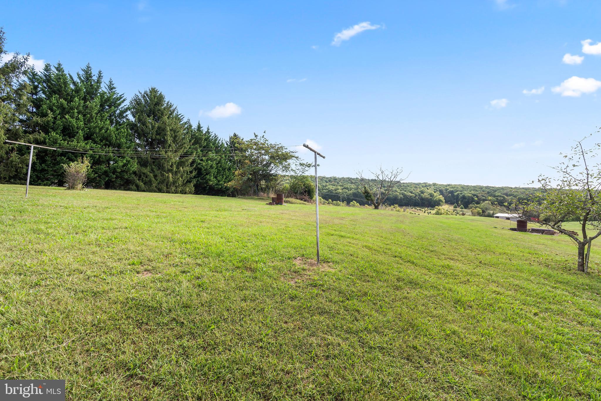 10976 Big Pool Road Big Pool, MD 21711 - Photo 11 of 43 So much outdoor potential