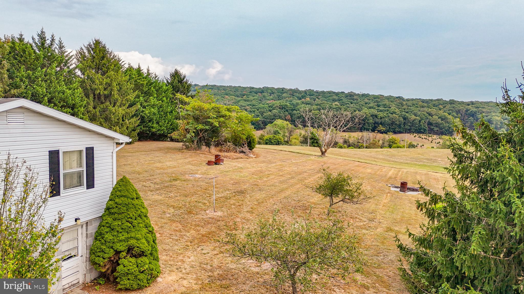 10976 Big Pool Road Big Pool, MD 21711 - Photo 43 of 43 Aerial view