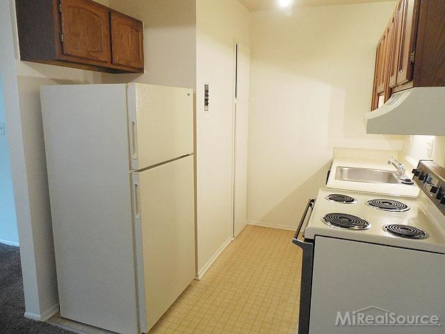 803 Plate Street, Unit 205 Rochester, MI 48307 - Photo 5 of 9 31217201-4.JPG