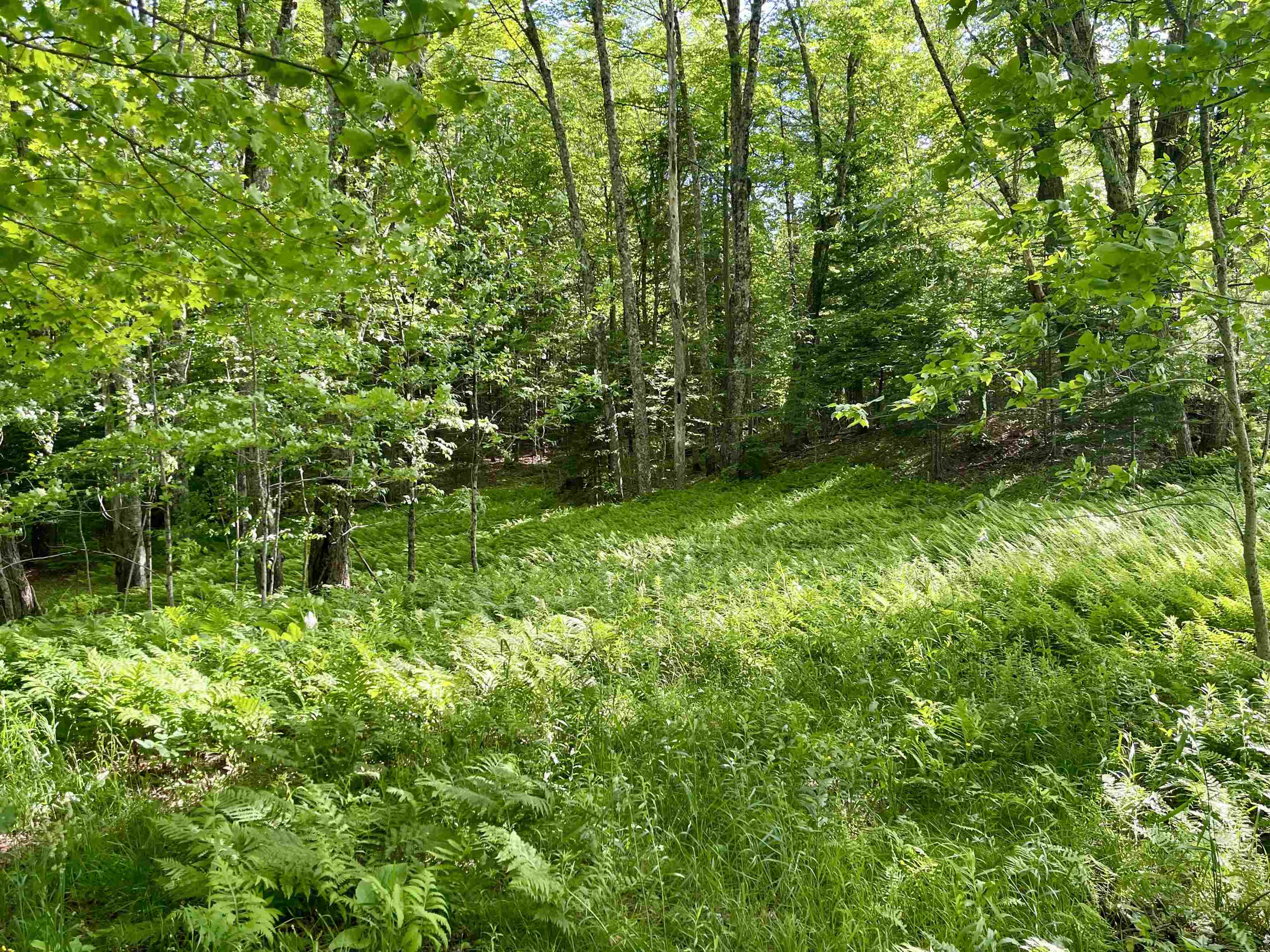 0 Old Farm Road West Burke, VT 05871 - Photo 11 of 14