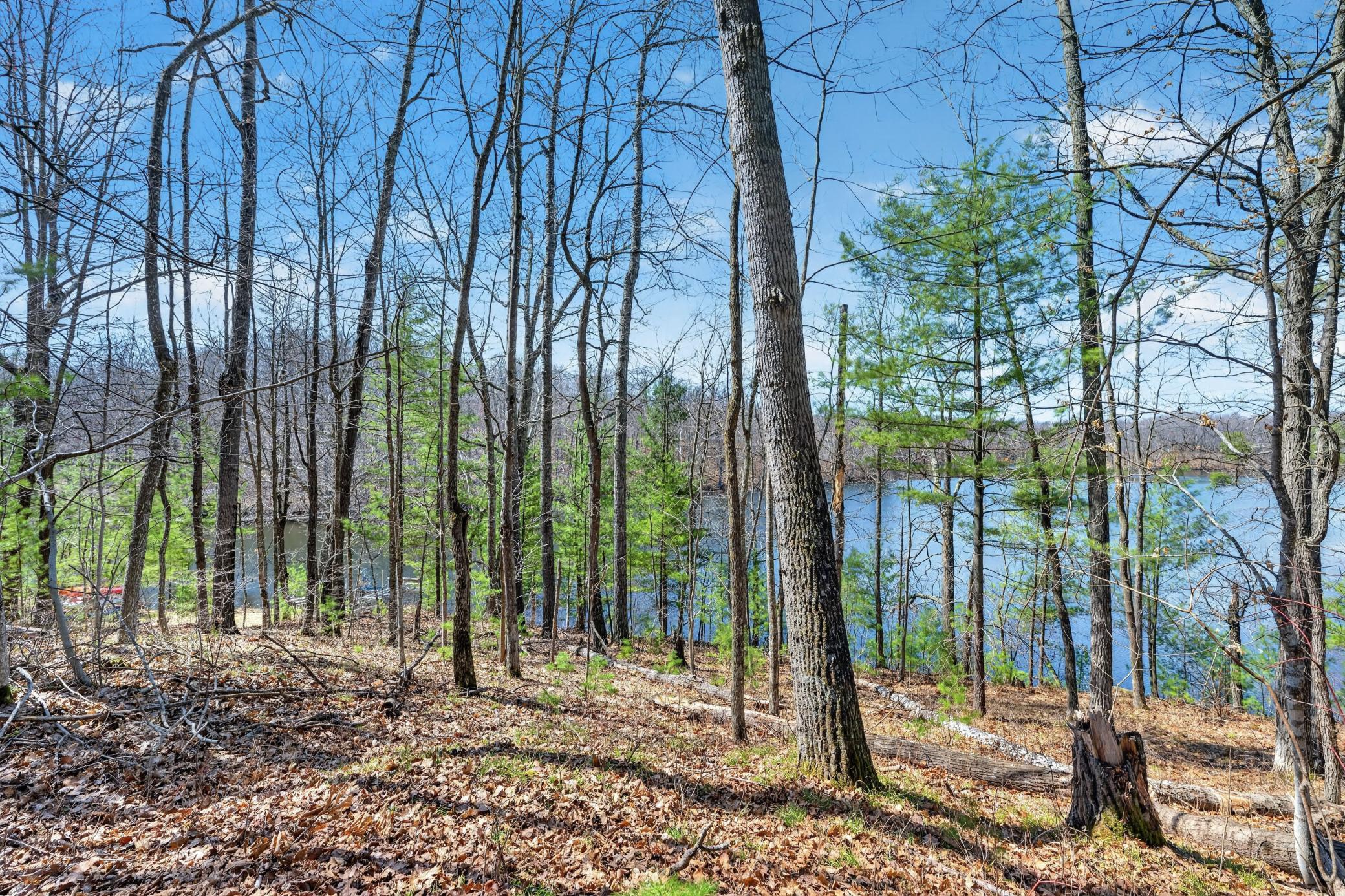 N291 Balsam Lake Road Birchwood, WI 54817 - Photo 6 of 36