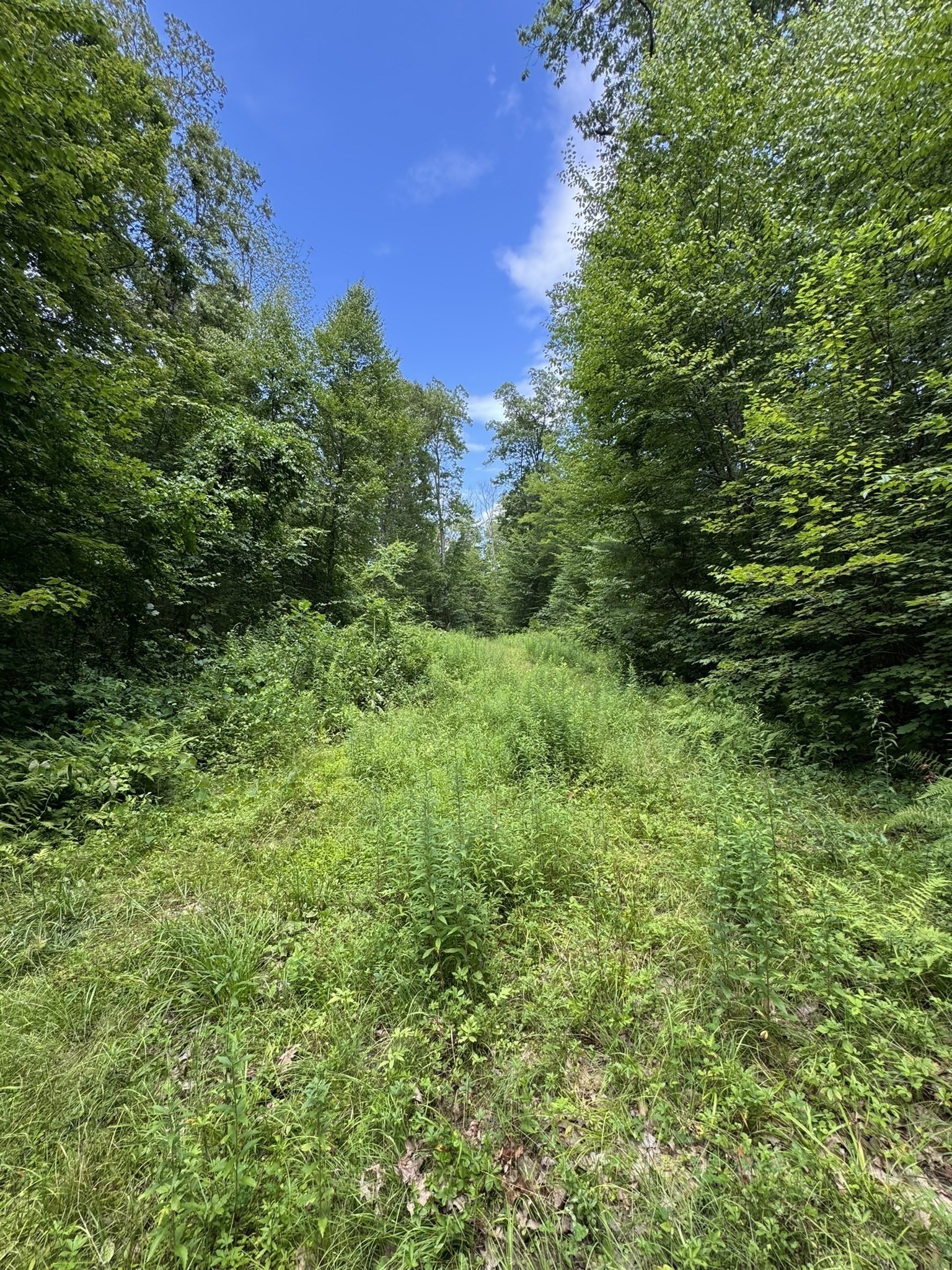 0 Patrill Hollow Road Hardwick, MA 01037 - Photo 10 of 24 Gallery Image 10
