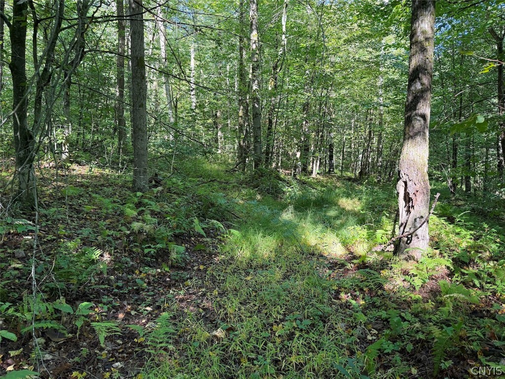 9543 Sawmill Run Road Napoli, NY 14755 - Photo 45 of 50 Gallery Image 45