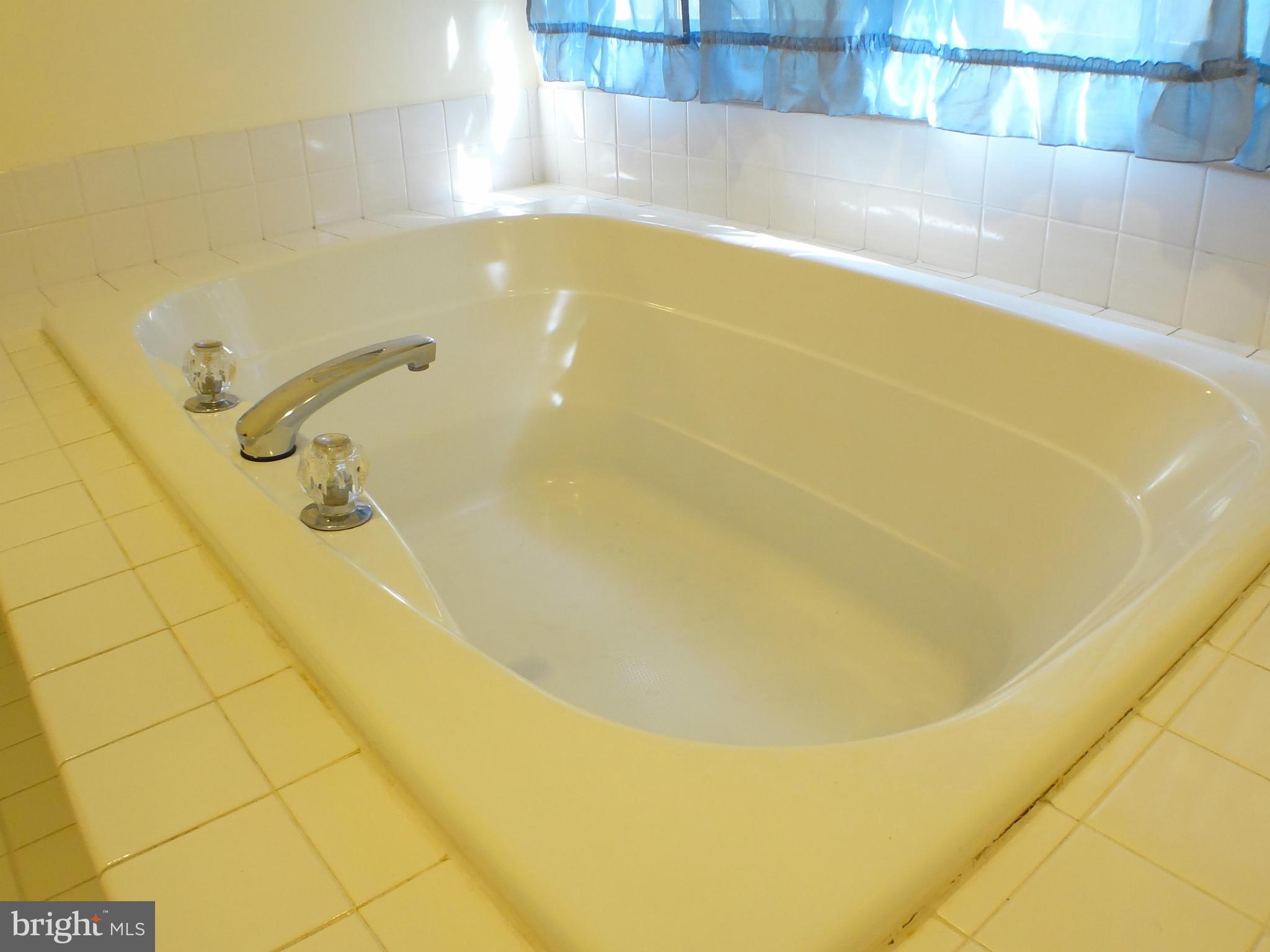 228 Lindenridge Road Laurel, MD 20724 - Photo 11 of 30 Bath (Master)