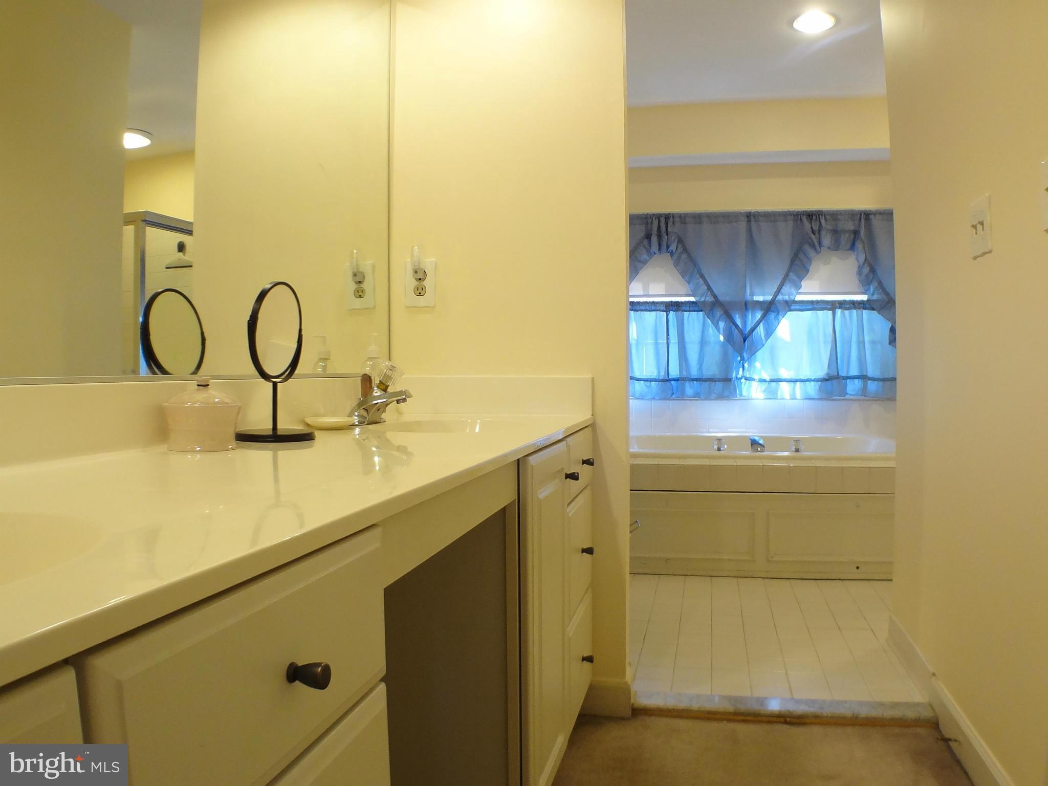 228 Lindenridge Road Laurel, MD 20724 - Photo 12 of 30 Bath (Master)