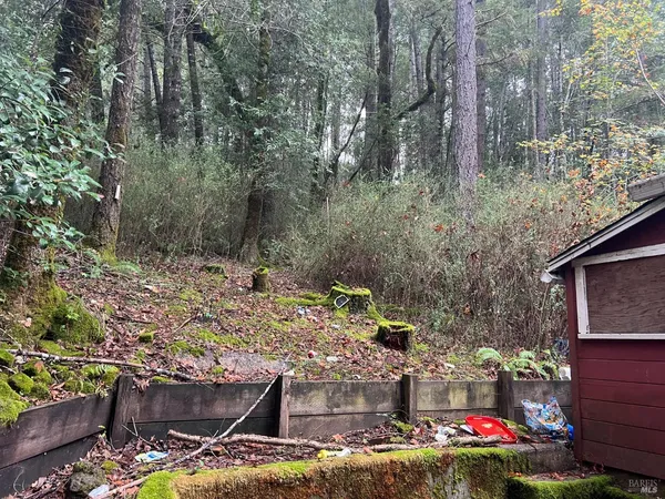 a view of a wooden house with a yard