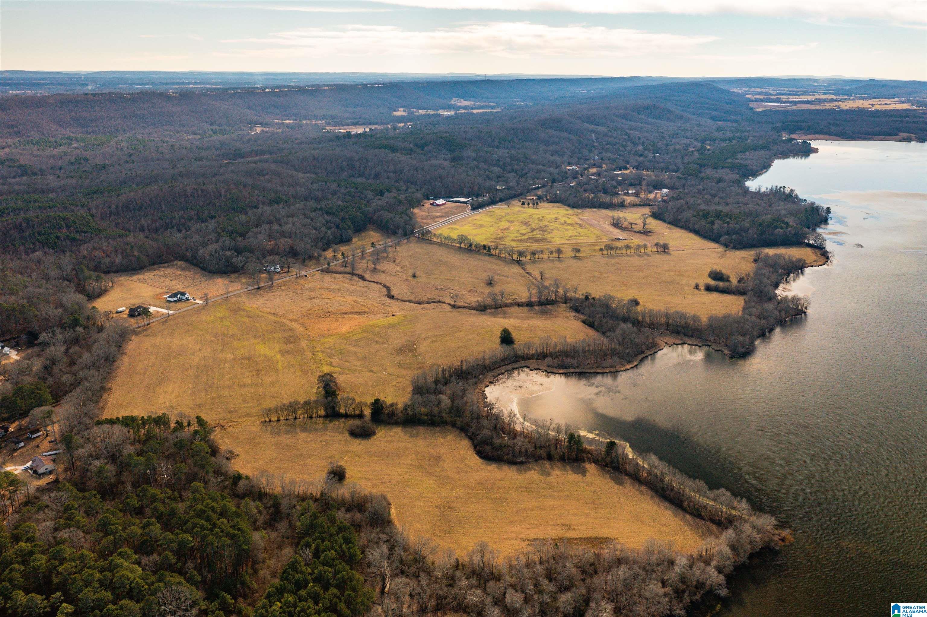 0 Browns Valley Road Guntersville, AL 35976 - Photo 9 of 39