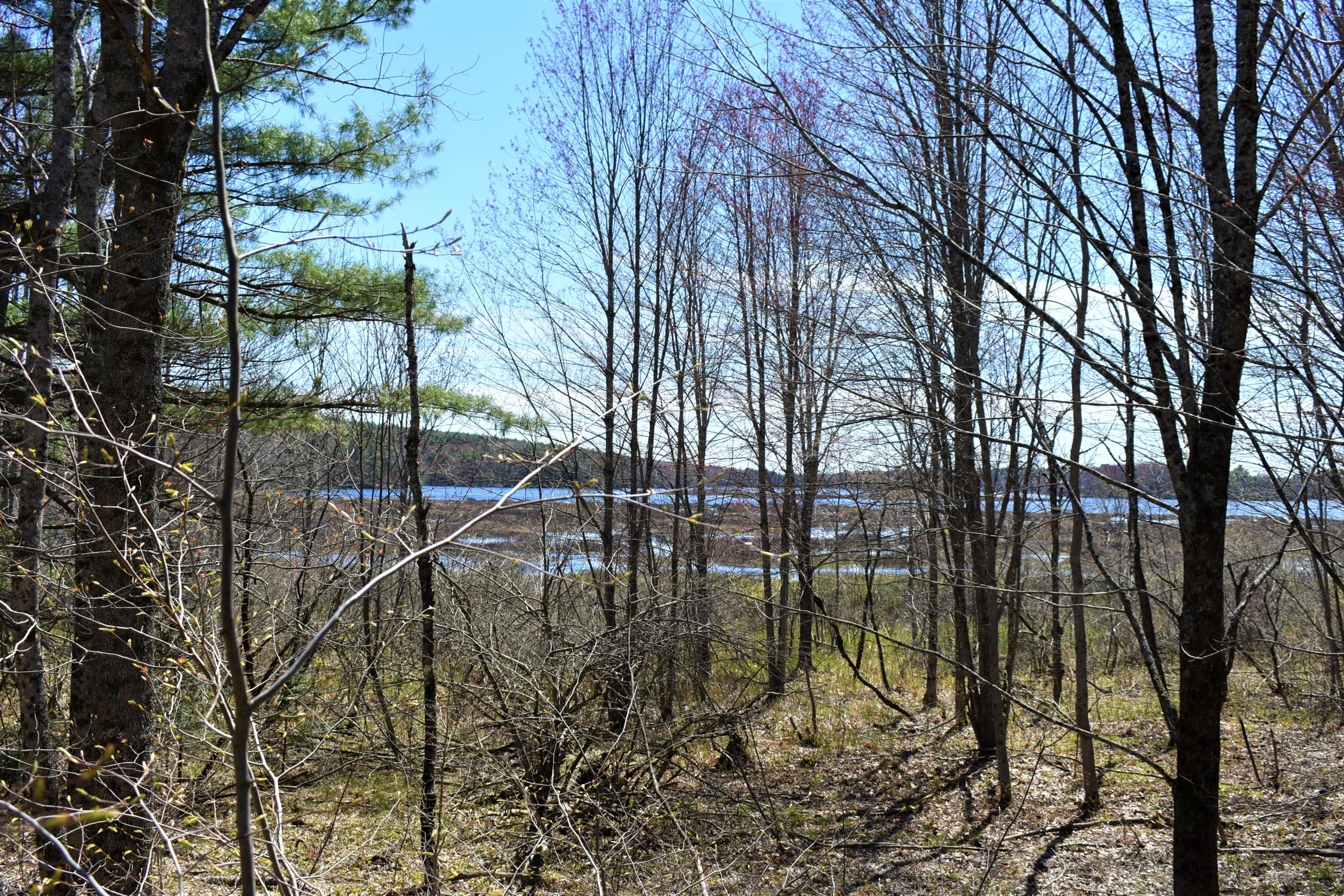 0 Bog Road Dresden, ME 04342 - Photo 13 of 13 DSC_1956