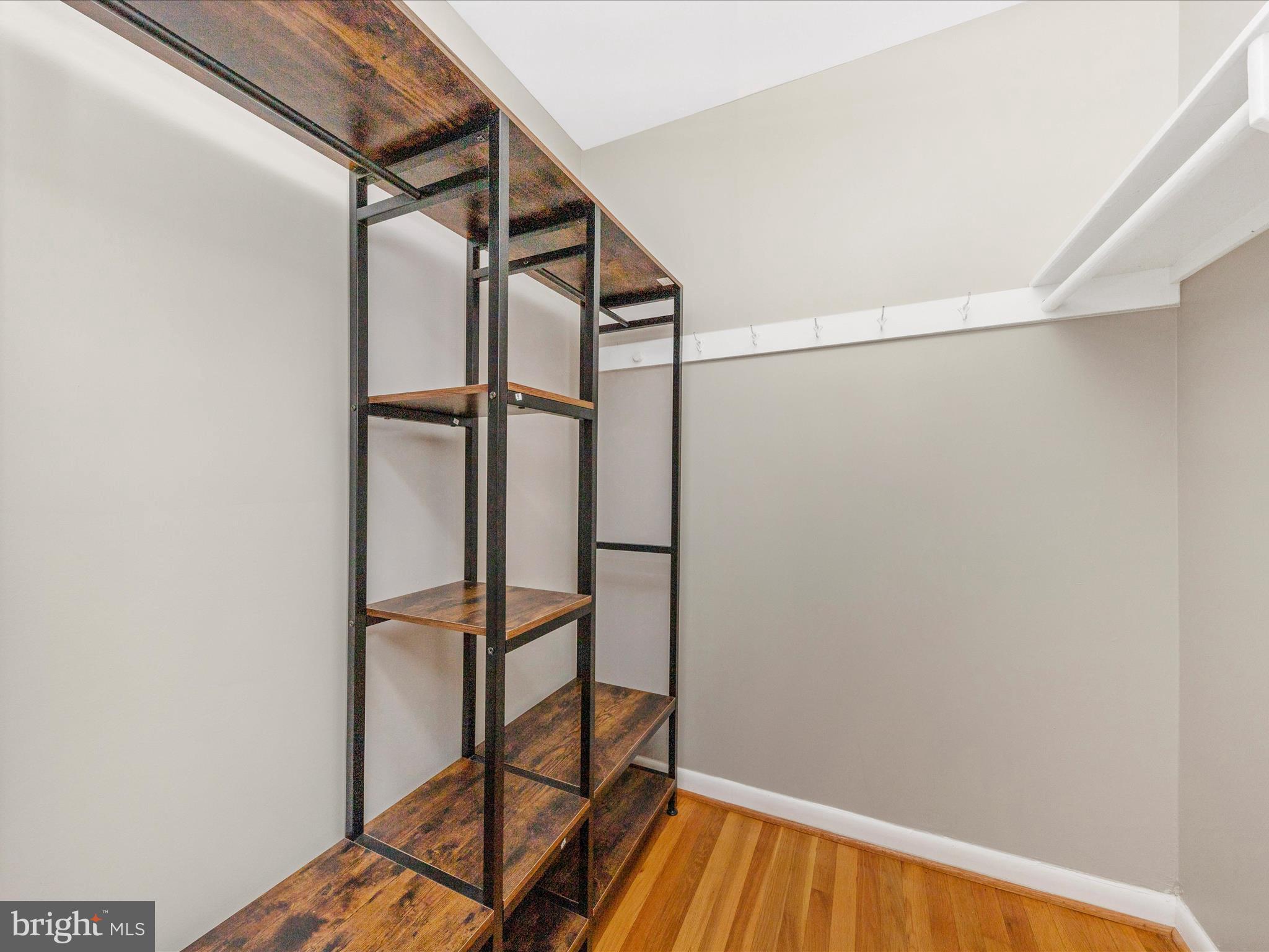 11503 Amherst Avenue, Unit 14 Silver Spring, MD 20902 - Photo 15 of 29 Primary Closet