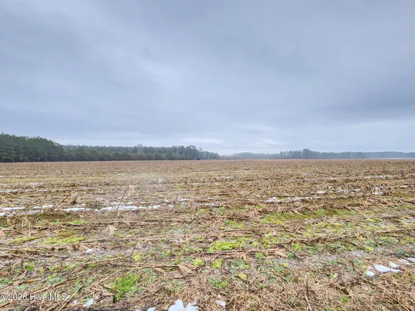 $320,000 | Tbd Ramsey Ford Road, Tabor City, NC 28463