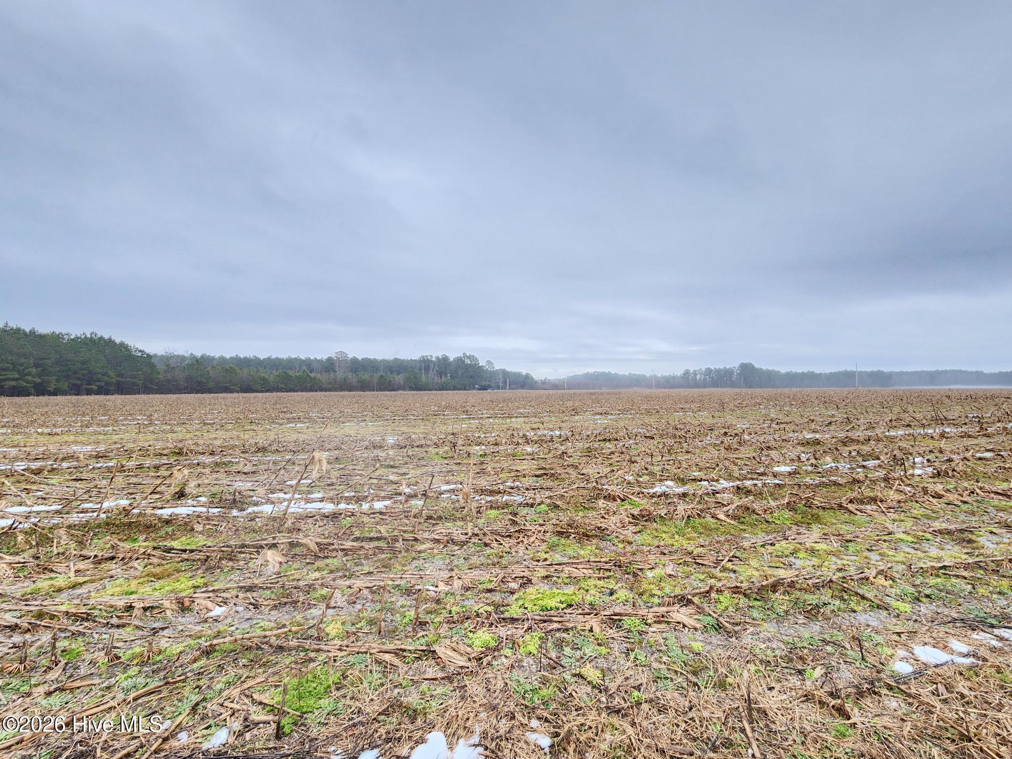 Tbd Ramsey Ford Road Tabor City, NC 28463 - Photo 1 of 13 3