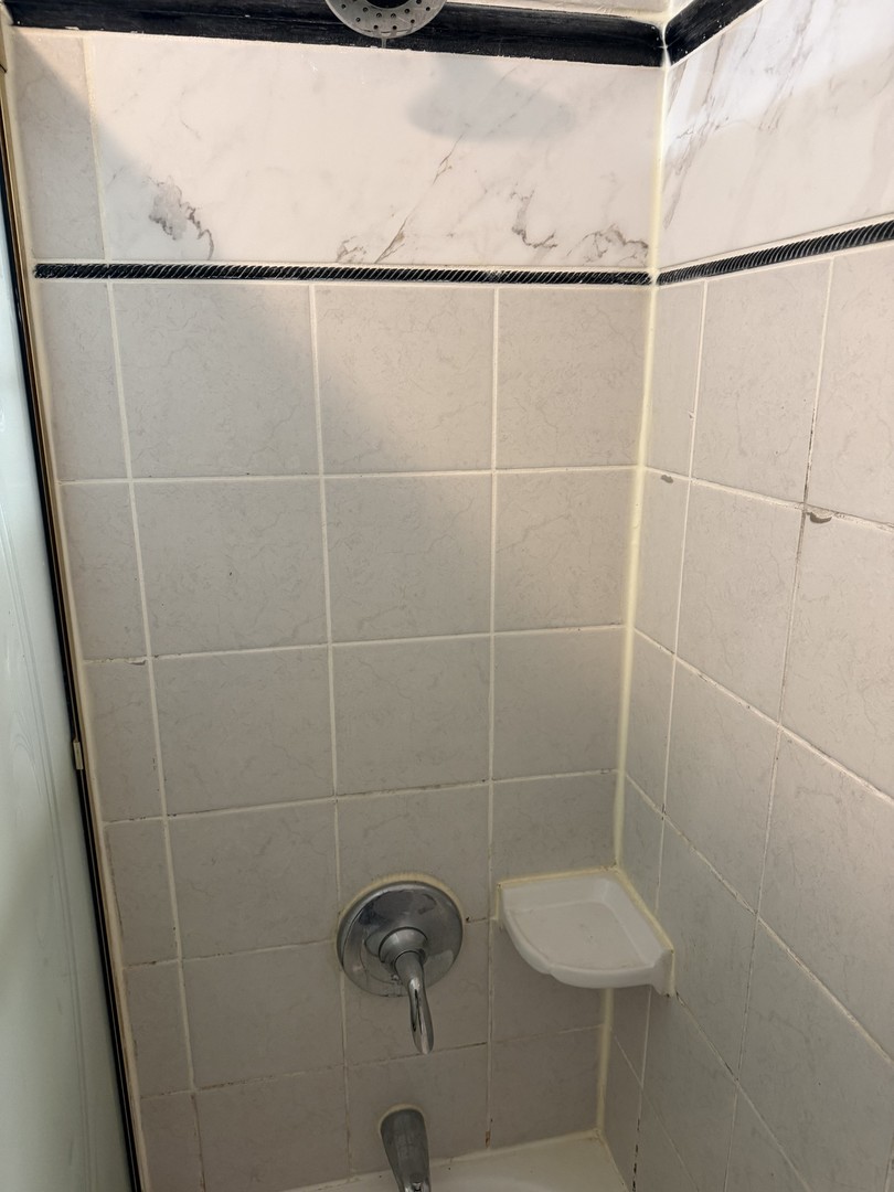 606 Bridgeport Place Wheeling, IL 60090 - Photo 24 of 25 a bathroom with a shower