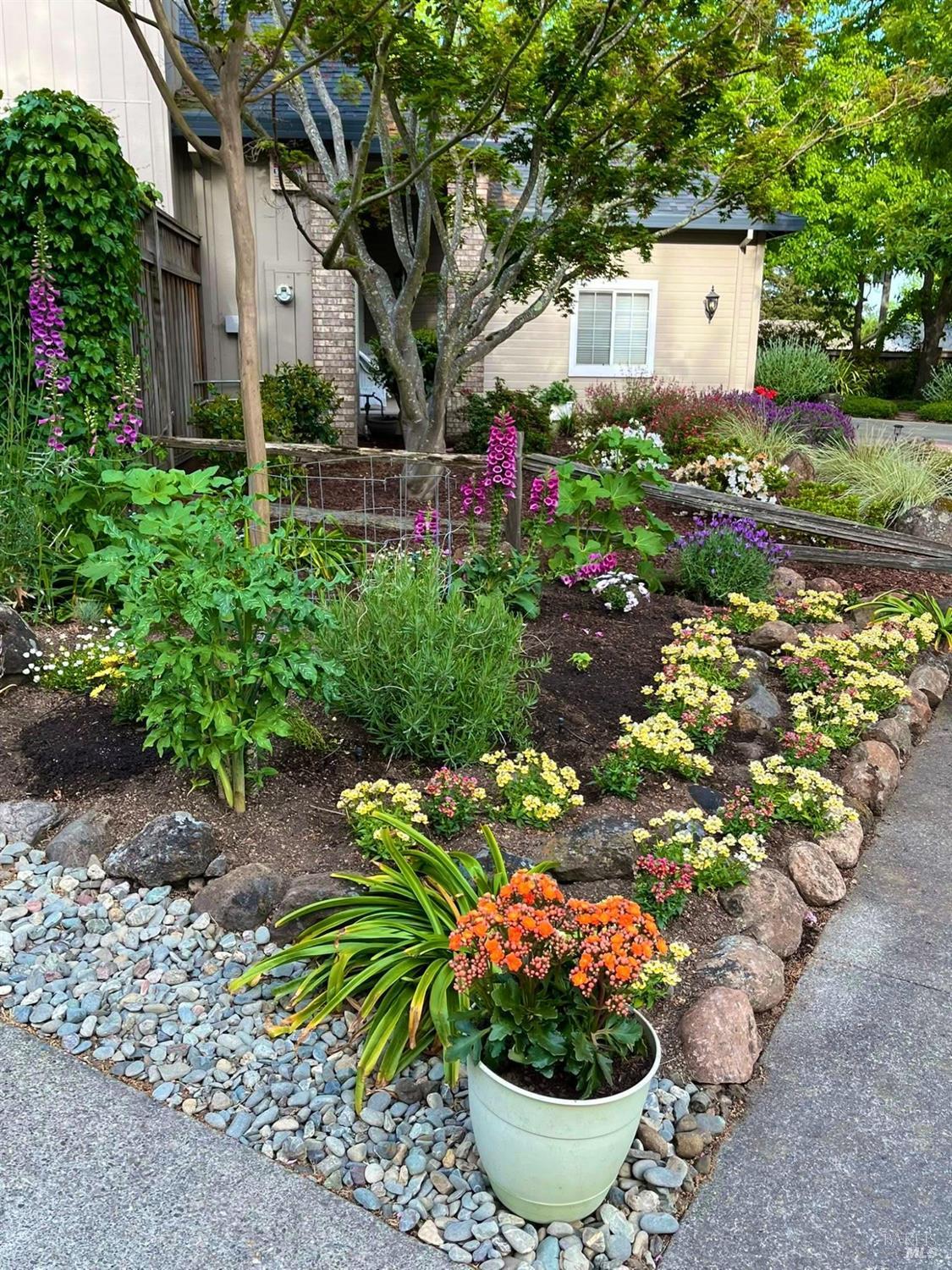 4604 Parktrail Court Santa Rosa, CA 95405 - Photo 10 of 72