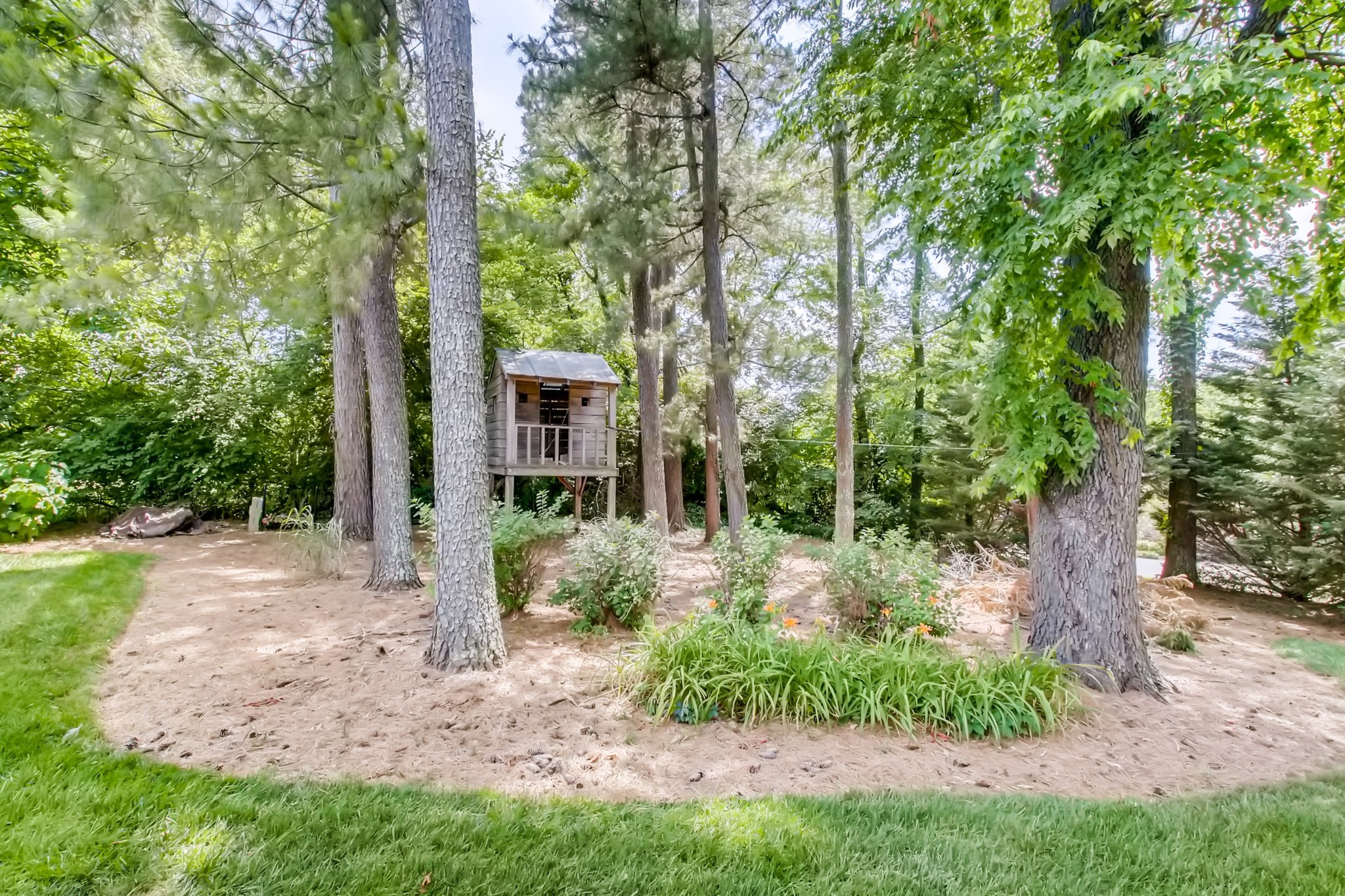 3919 Dorcas Drive Nashville, TN 37215 - Photo 36 of 40 a view of a house with a tree in the yard