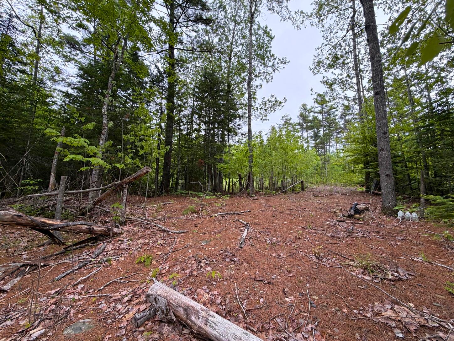 M19-l1 Airline Road Clifton, ME 04428 - Photo 1 of 9 772d4e2b-de8e-4872-9045-7ae9bd991d67