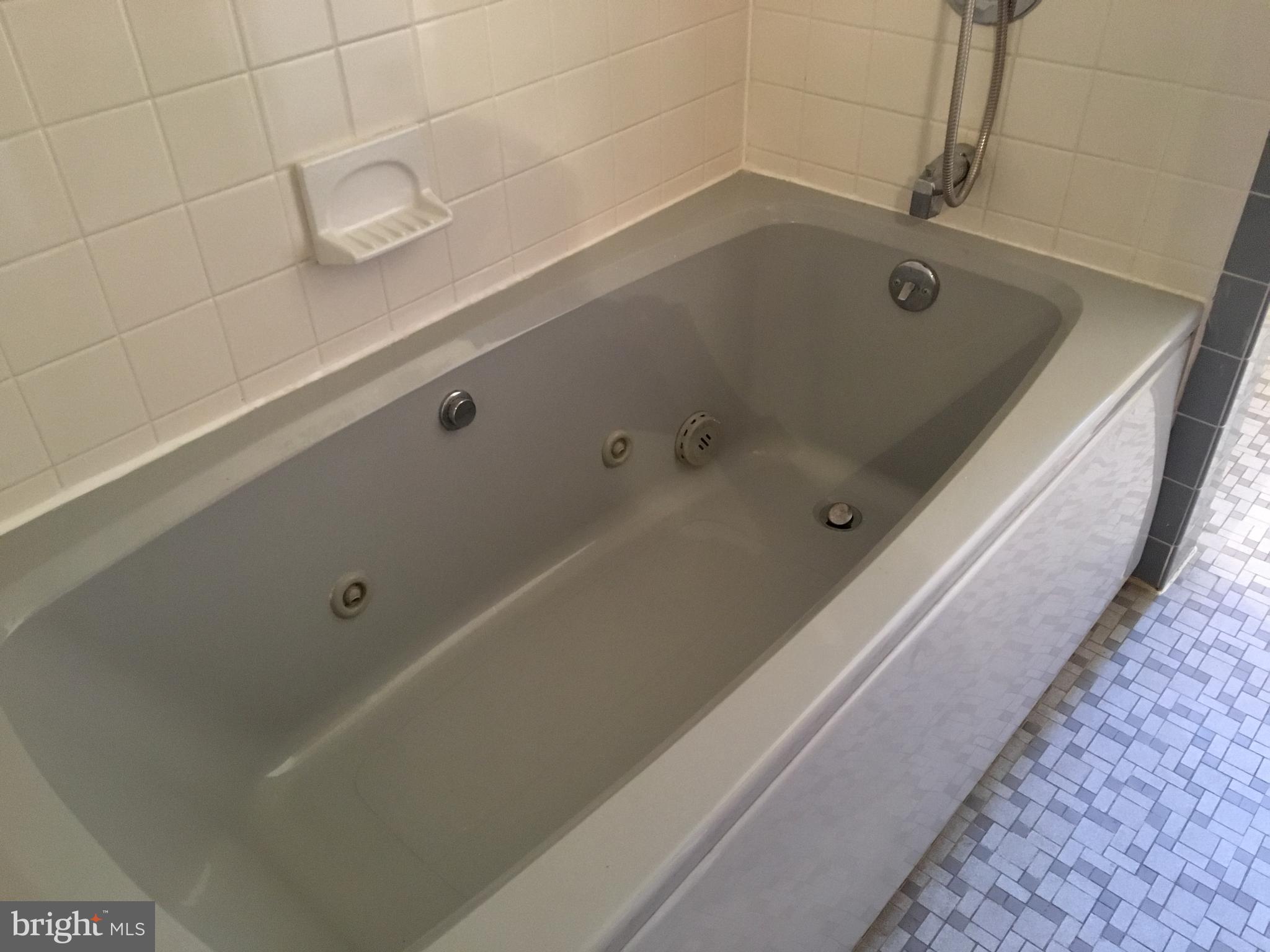 58 Hoover Road Huntingdon Valley, PA 19006 - Photo 19 of 46 Soaking tub.