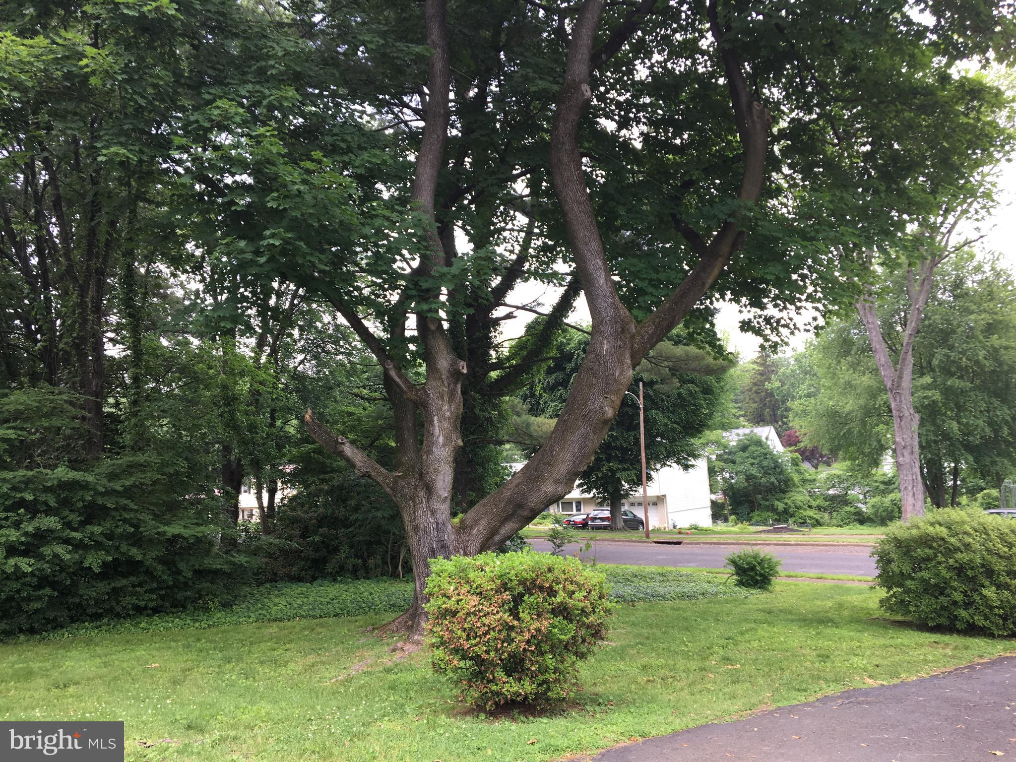 58 Hoover Road Huntingdon Valley, PA 19006 - Photo 45 of 46 Mature trees and plantings.