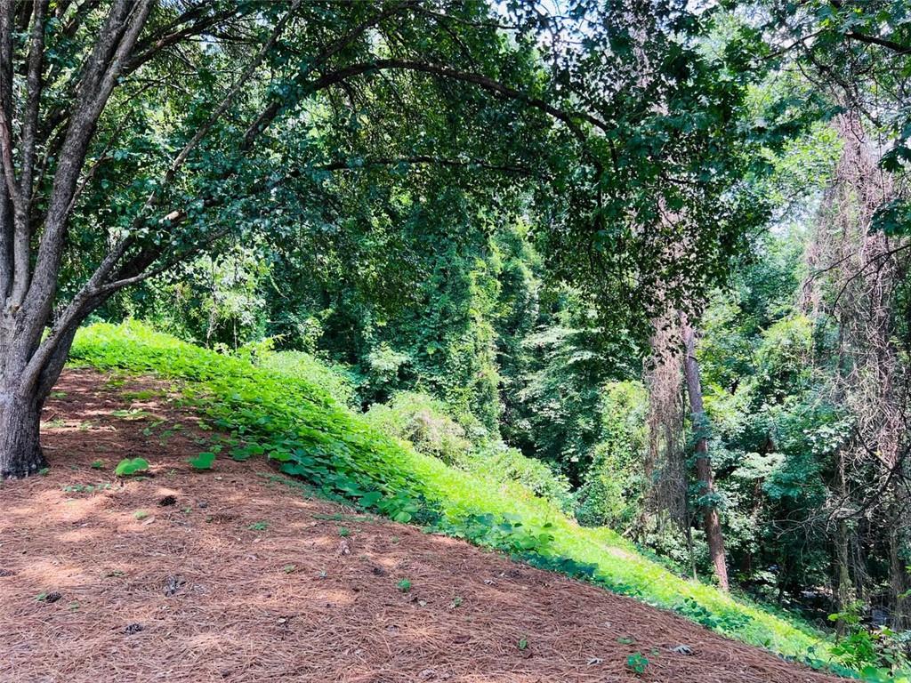 Lot 6 North Riverside Circle Atlanta, GA 30328 - Photo 4 of 11 a view of a yard with a tree