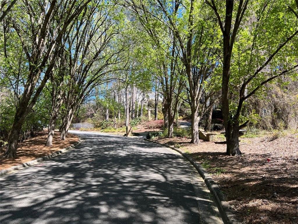 Lot 6 North Riverside Circle Atlanta, GA 30328 - Photo 6 of 11 a view of a trees with a yard