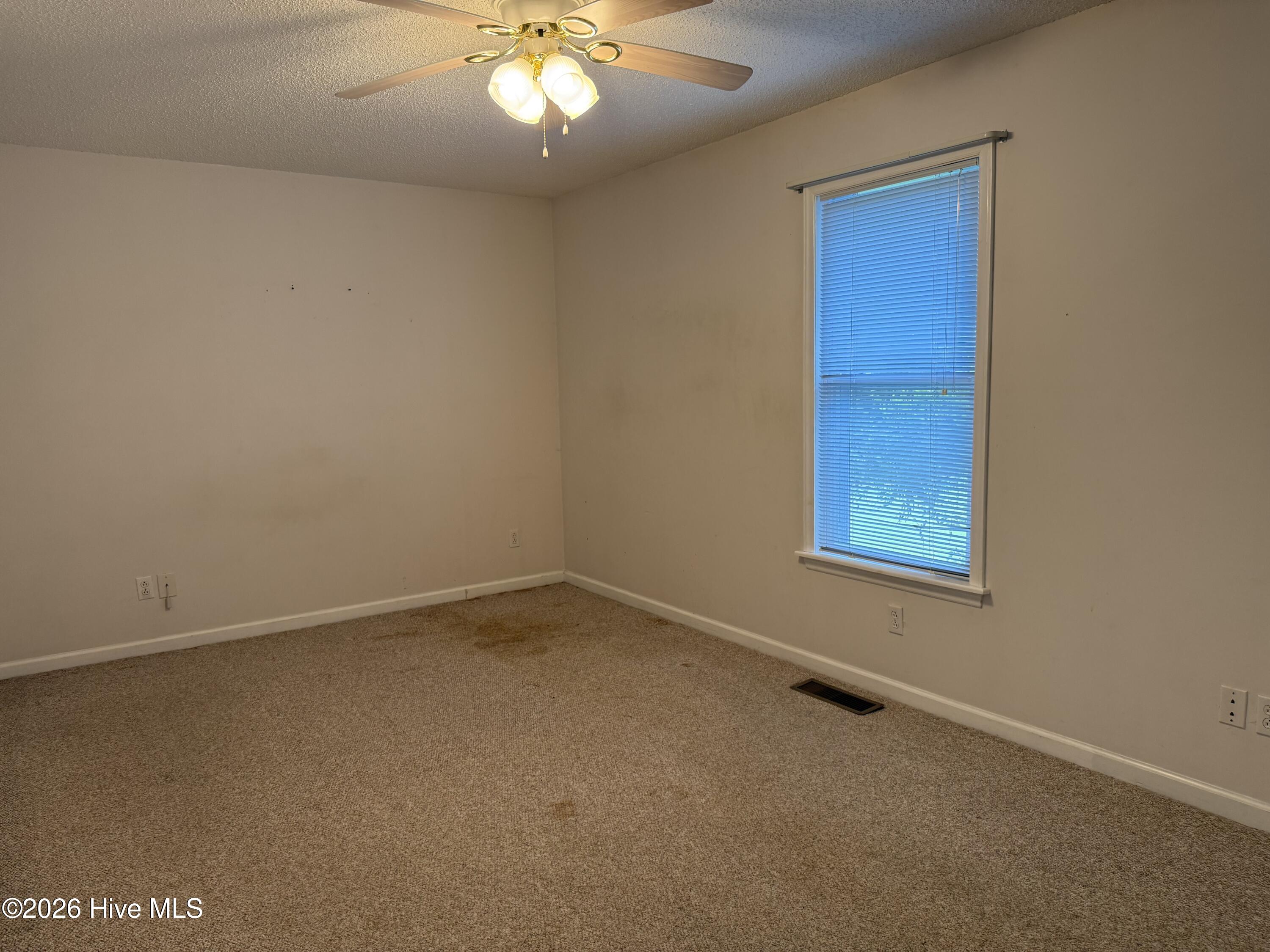564 Alligator Loop Road Merritt, NC 28556 - Photo 20 of 26 Gallery Image 20