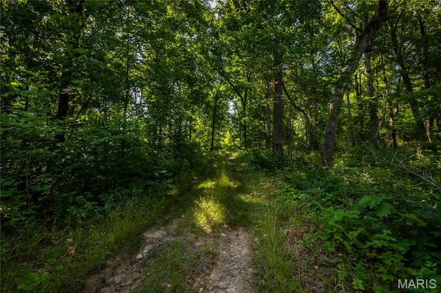 $240,000 | Tbd Beechnut Road, Stover, MO 65078