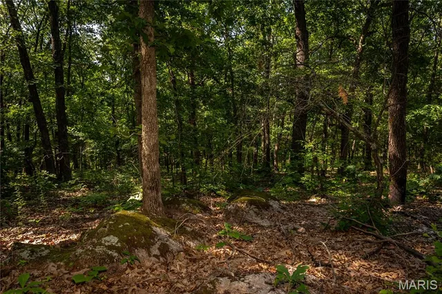 $240,000 | Tbd Beechnut Road, Stover, MO 65078