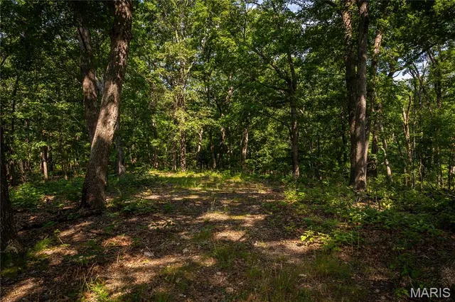 $240,000 | Tbd Beechnut Road, Stover, MO 65078
