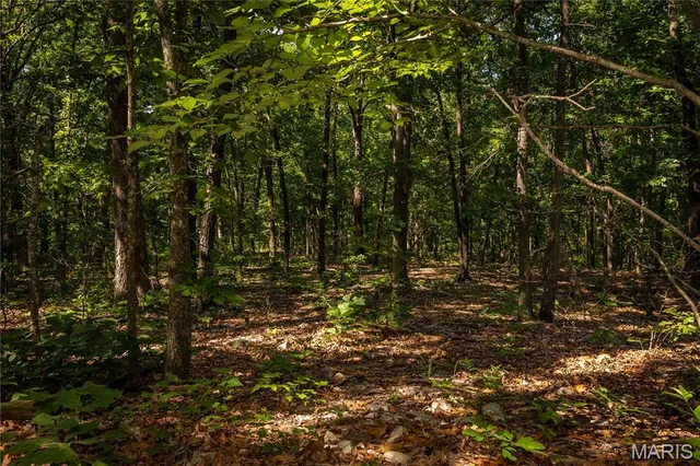 $240,000 | Tbd Beechnut Road, Stover, MO 65078