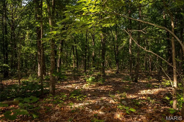 $240,000 | Tbd Beechnut Road, Stover, MO 65078